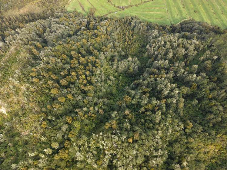 LOT 1 Granite Creek Road Karamea_12