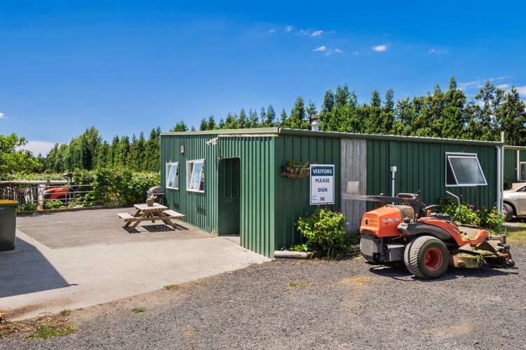 Matahui Road Aongatete_9