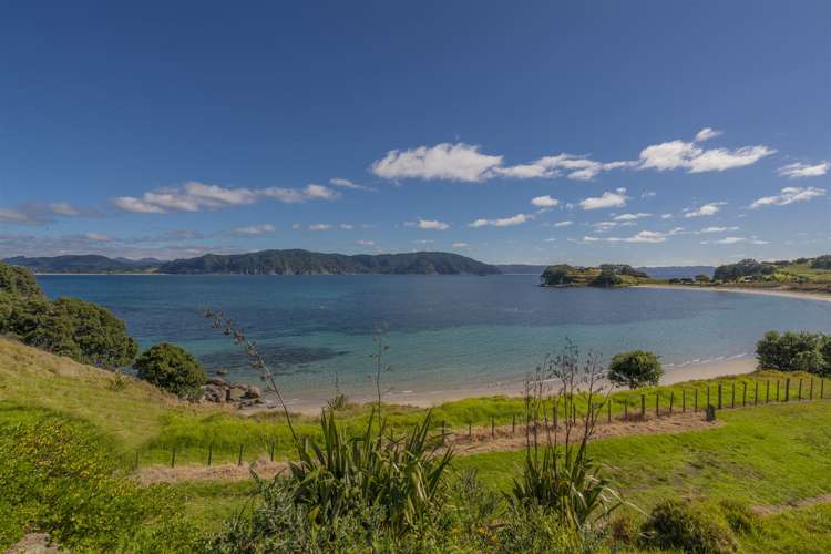 191b Pacific Ocean Slipper Island (Whakahau)_21