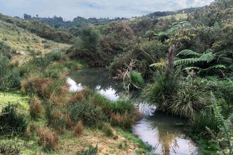 126 Richards Road Dairy Flat_23