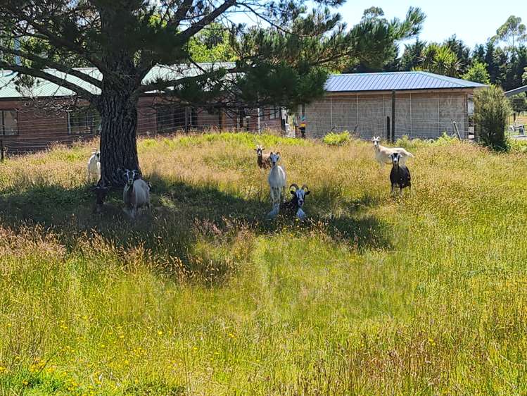 4/363 SHWY 67 Fairdown_17