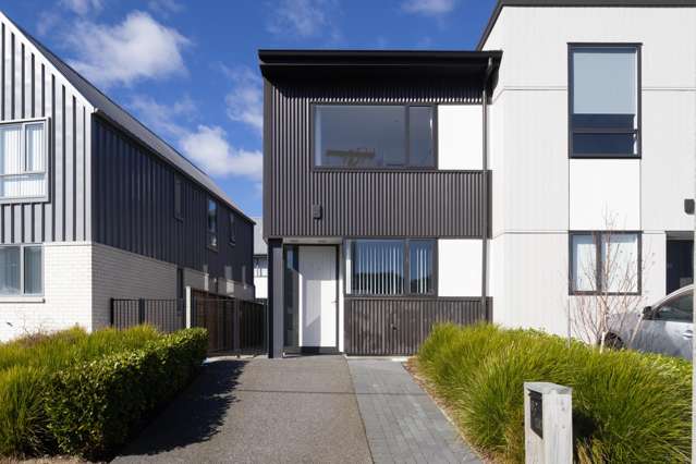 Petone Living Made Easy