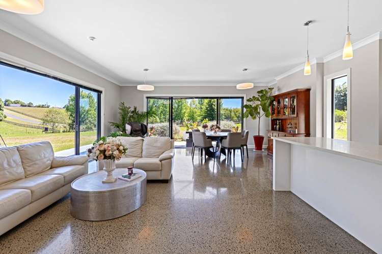 166J Postman Road Dairy Flat_15