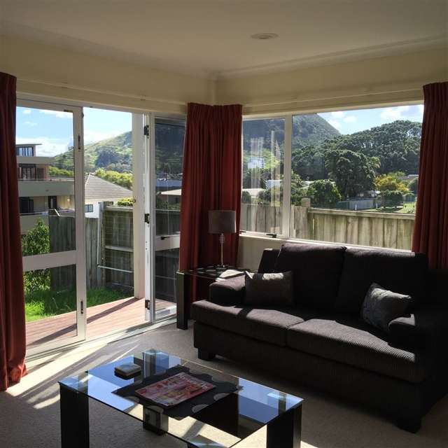 30e Rita Street Mount Maunganui_2