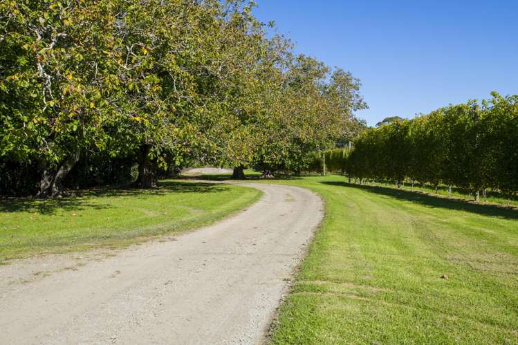 139 Taurau Valley Road Manutuke_25