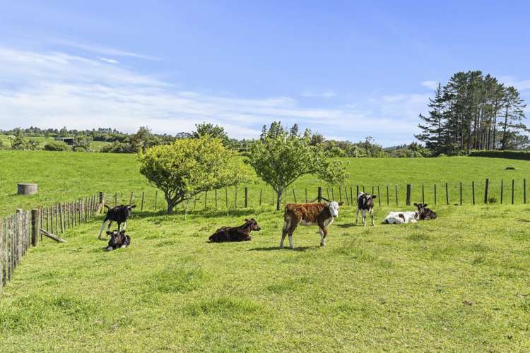 120 Durham Road Upper Norfolk_27