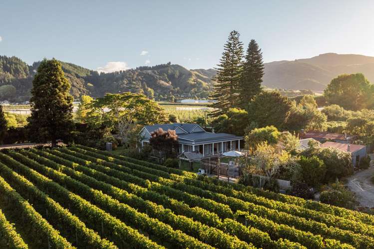 60 Takaka Hill Highway Riwaka_9