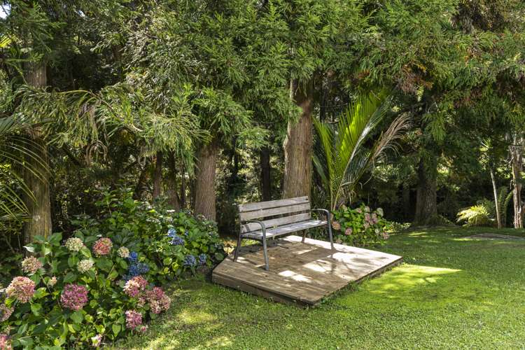 1074 Peak Road Helensville_18