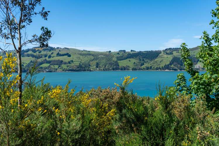 74 Kauri Street Ravensbourne_16