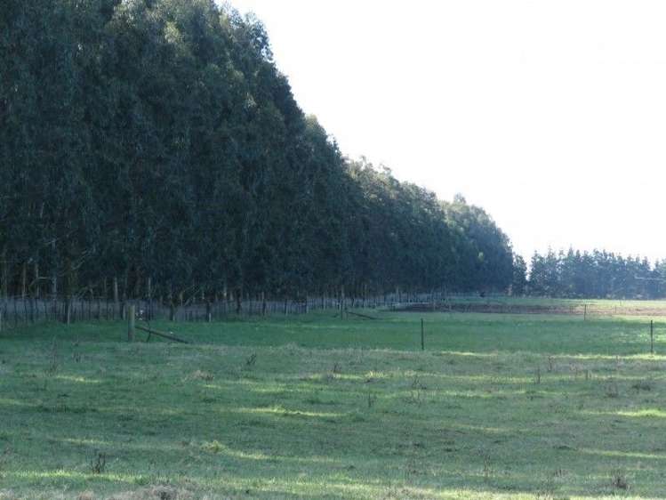 1035 Newland Road Clandeboye_16