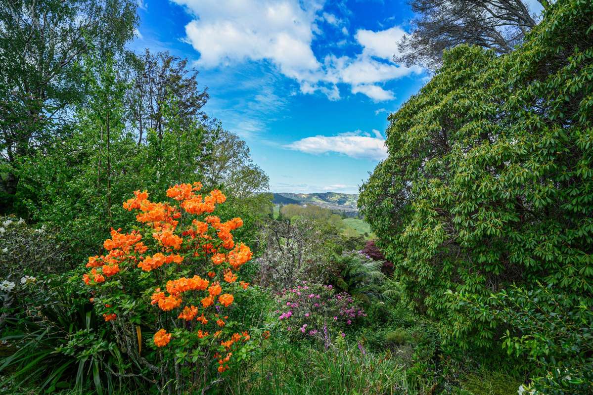 558 Old Coach Road_2