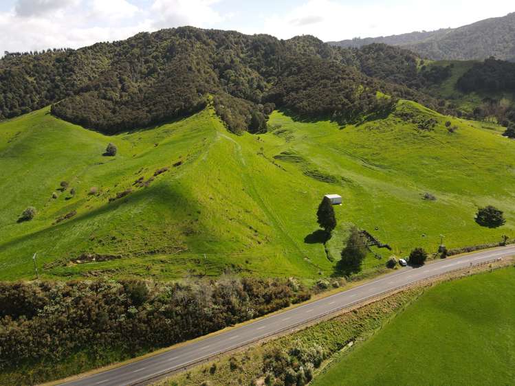 1949 Tahuna Road Te Hoe_2