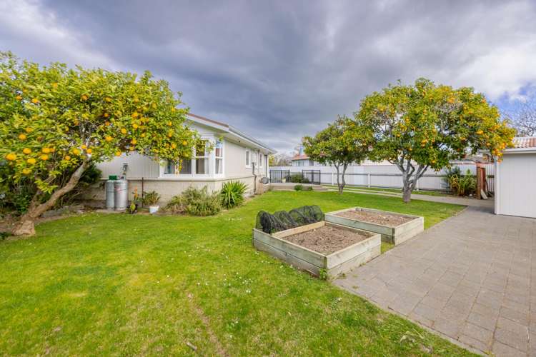 40 Southwark Avenue Tamatea_12