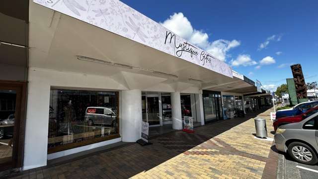 213 Rosebery Street Tokoroa_1