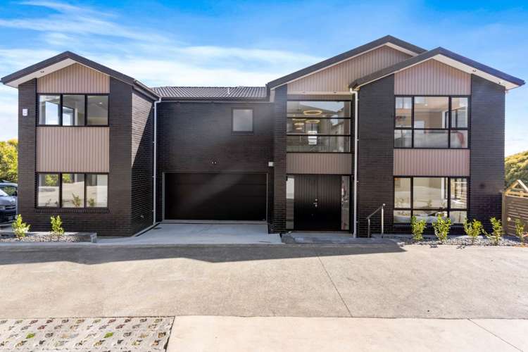 1 Pae Lane Flat Bush_19