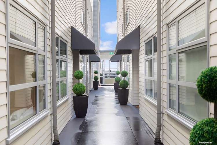 25i George Street Mount Eden_13