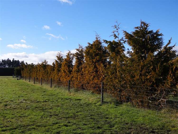 711 Rise Road Temuka_6