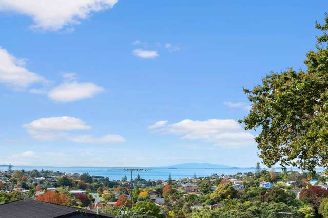 7a Elizabeth Place Mairangi Bay_1