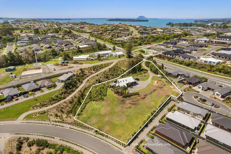 340 Omokoroa Road Omokoroa_19