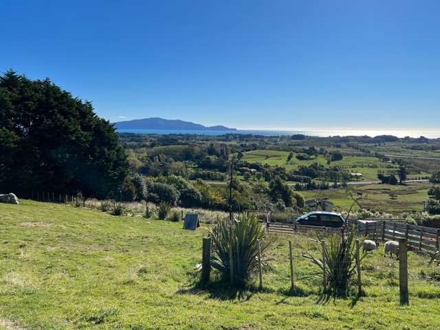 251 Huia Street Waikanae_2