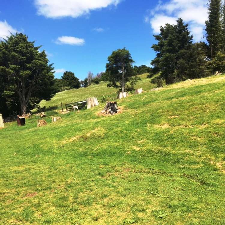 6224 State Highway 1 Moerewa_16