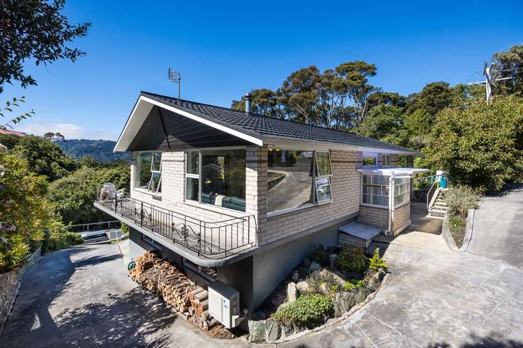 9 Newington Avenue Maori Hill_1