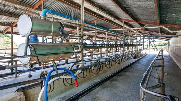 128 Mangamutu Road Murupara Surrounds_8