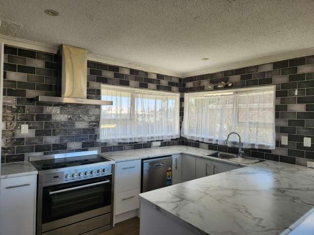 239 West Parkdale Street Tokoroa_2