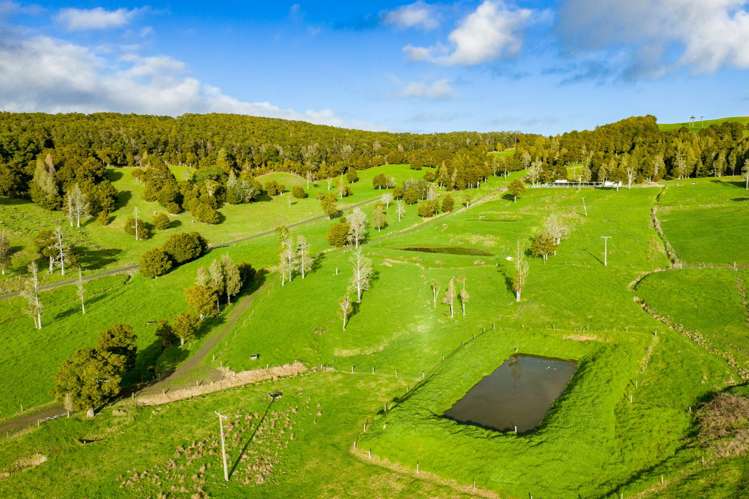 1053 Waihue Road Dargaville Surrounds_9
