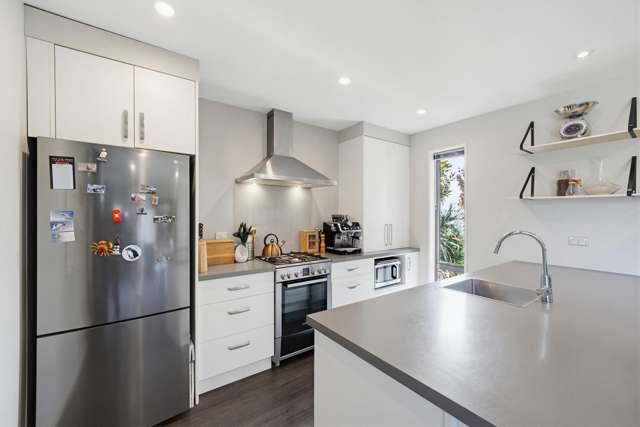 55 Tutaipatu Avenue Pegasus_3