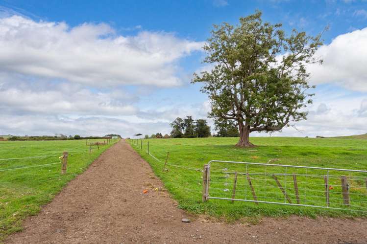 585 Morrinsville-Tahuna Road Morrinsville_17