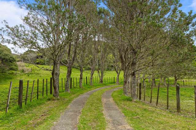 90 Lone Kauri Road Karekare_1