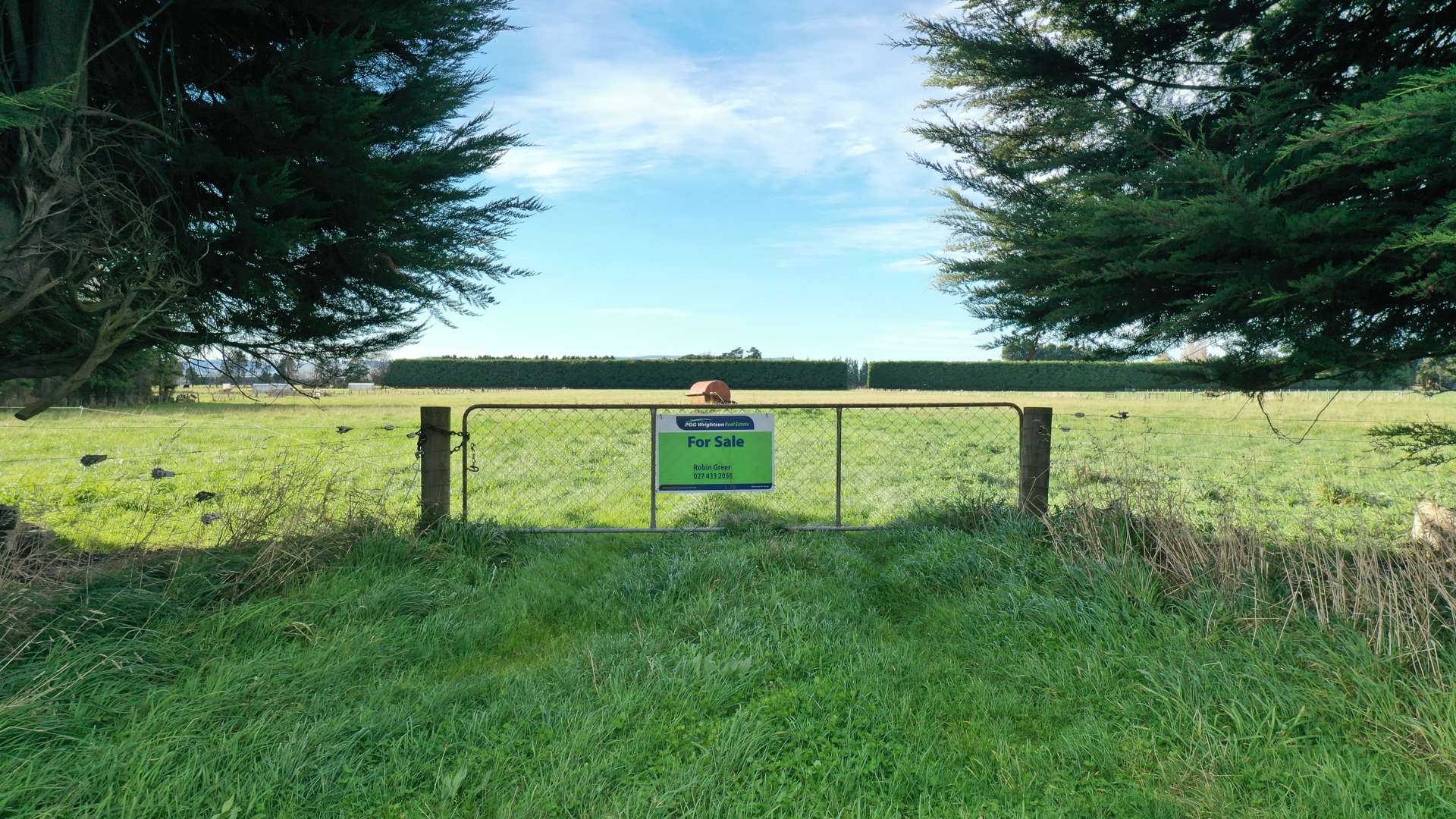 85 George Street Edendale_0