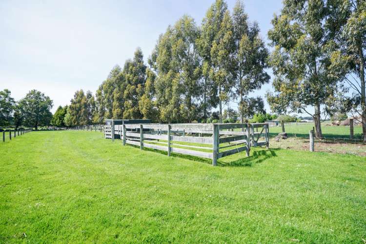 20 Cross Road Winton_21