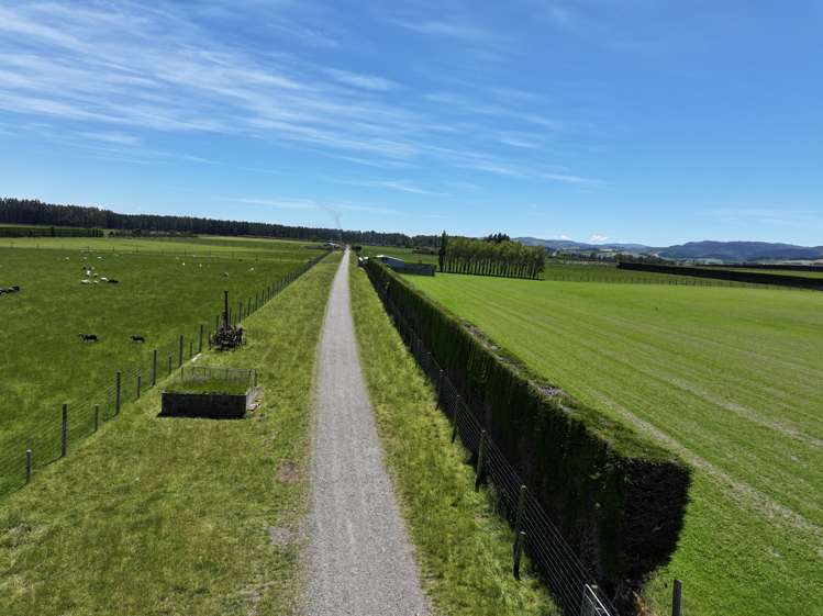 389 Mckenzie Road Browns_19