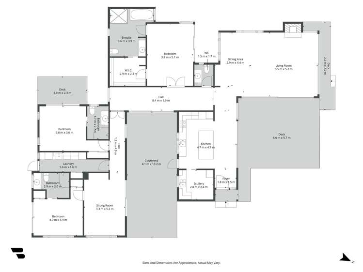 19 Ajax Head Pauanui_31