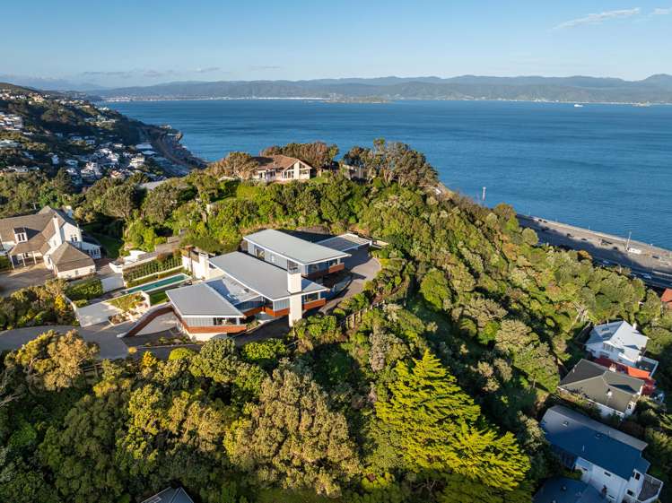 66 Anne Street Wadestown_5