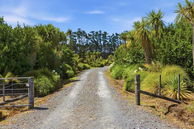 4037b Far North Road Pukenui_39