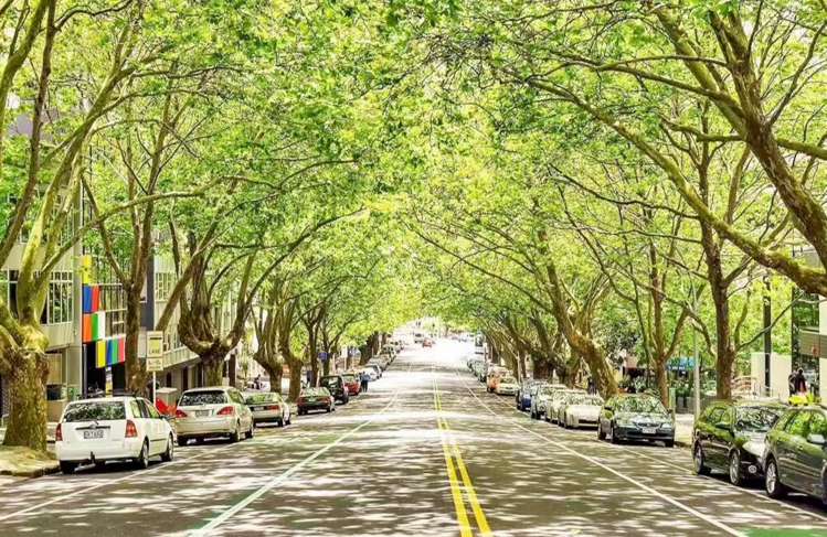 1405/106 Vincent Street Auckland Central_19