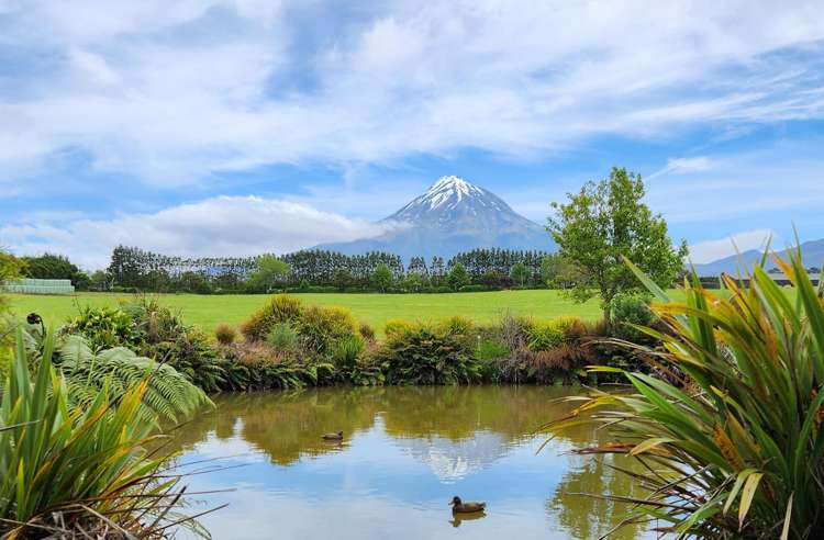 1918 Egmont Road Kaimiro_16