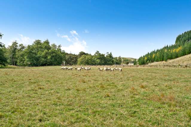 739 Matahiwi Road Masterton_2