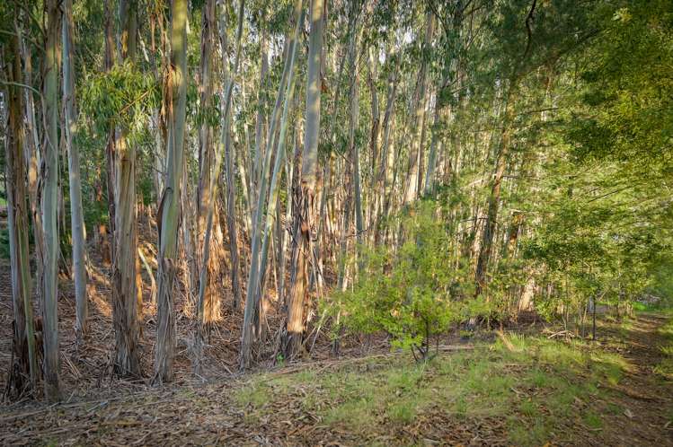 46 Westdale Road Redwood Valley_17