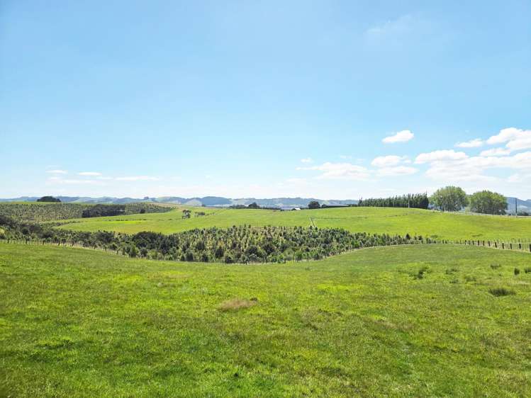 Lot Lot 5/36 Munros Road_1