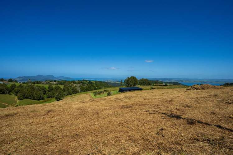 Franklin Road Parua Bay_7