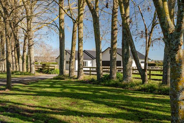 290 Lee Martin Road Tamahere_3
