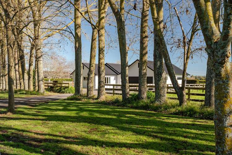 290 Lee Martin Road Tamahere_3