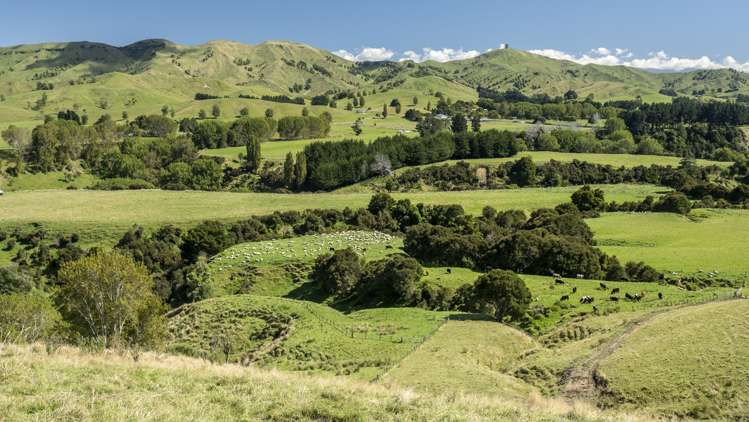 231 Hakakino Road Wainuioru_19