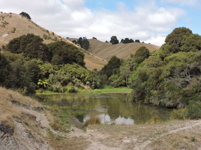 694 Farm Road Hawkes Bay_4