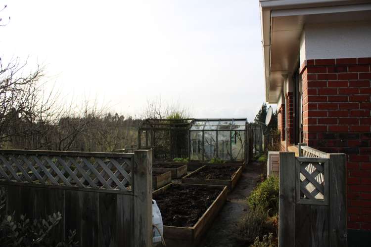 118 Old Port Road Catlins Surrounds_19