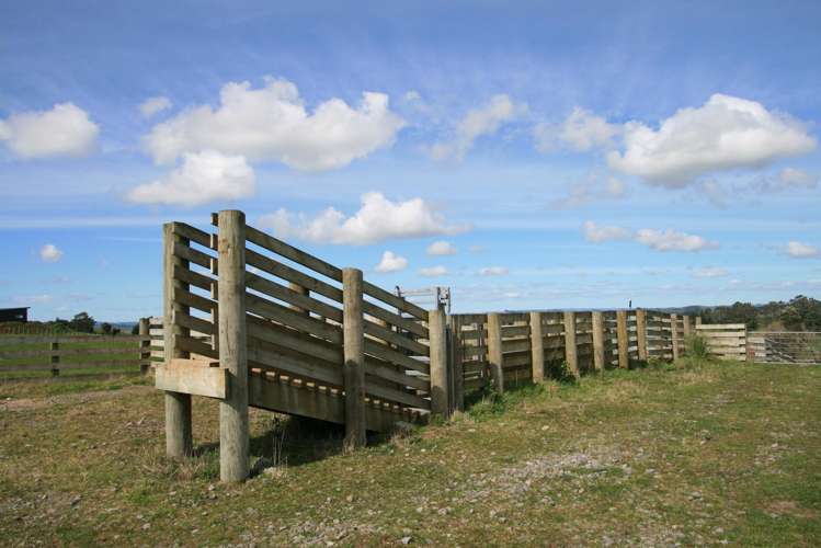 190 Lincoln Road Inglewood_4